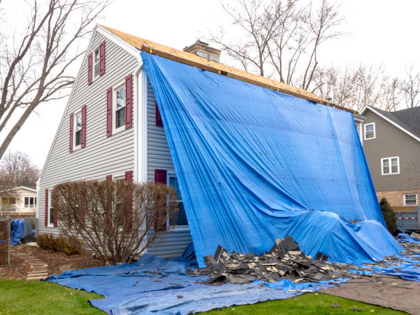 Best Residential Vinyl Siding Installation  in Ilco, WA